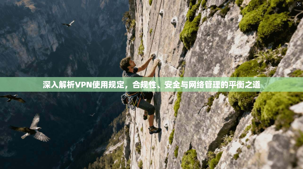 深入解析VPN使用规定，合规性、安全与网络管理的平衡之道