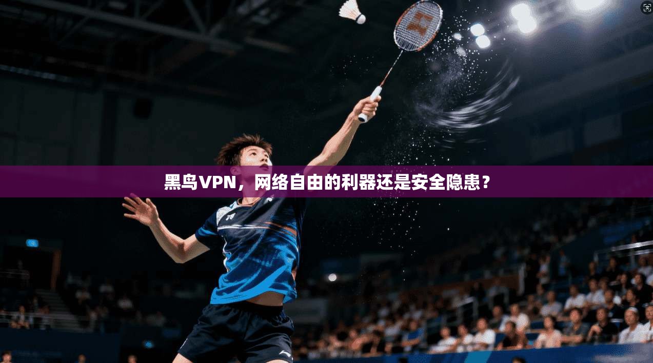 黑鸟VPN，网络自由的利器还是安全隐患？