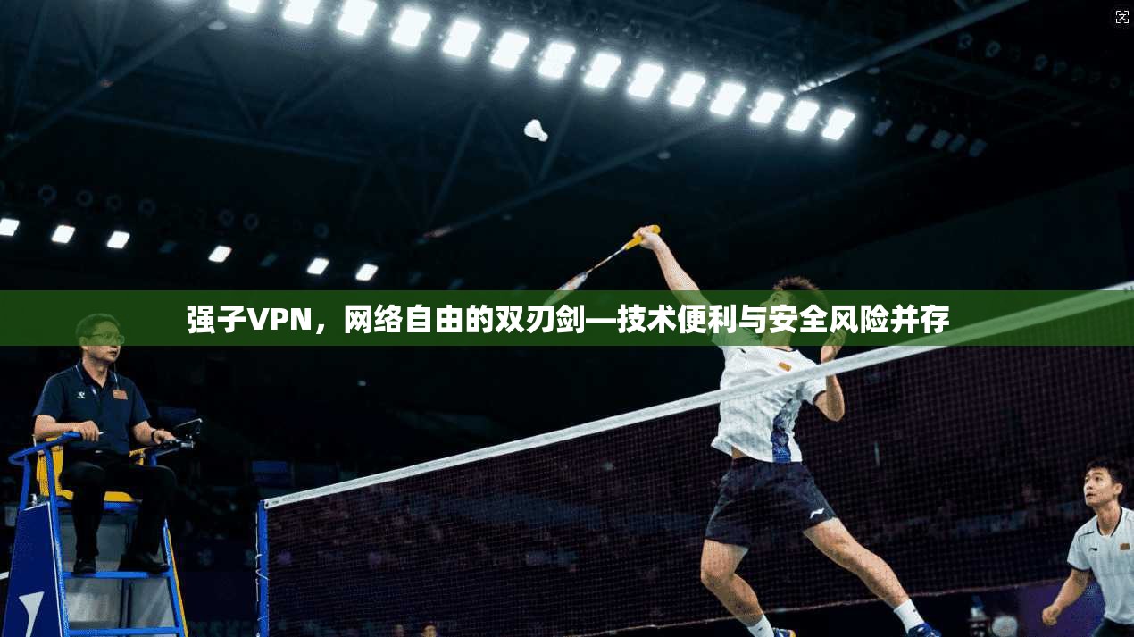 强子VPN，网络自由的双刃剑—技术便利与安全风险并存