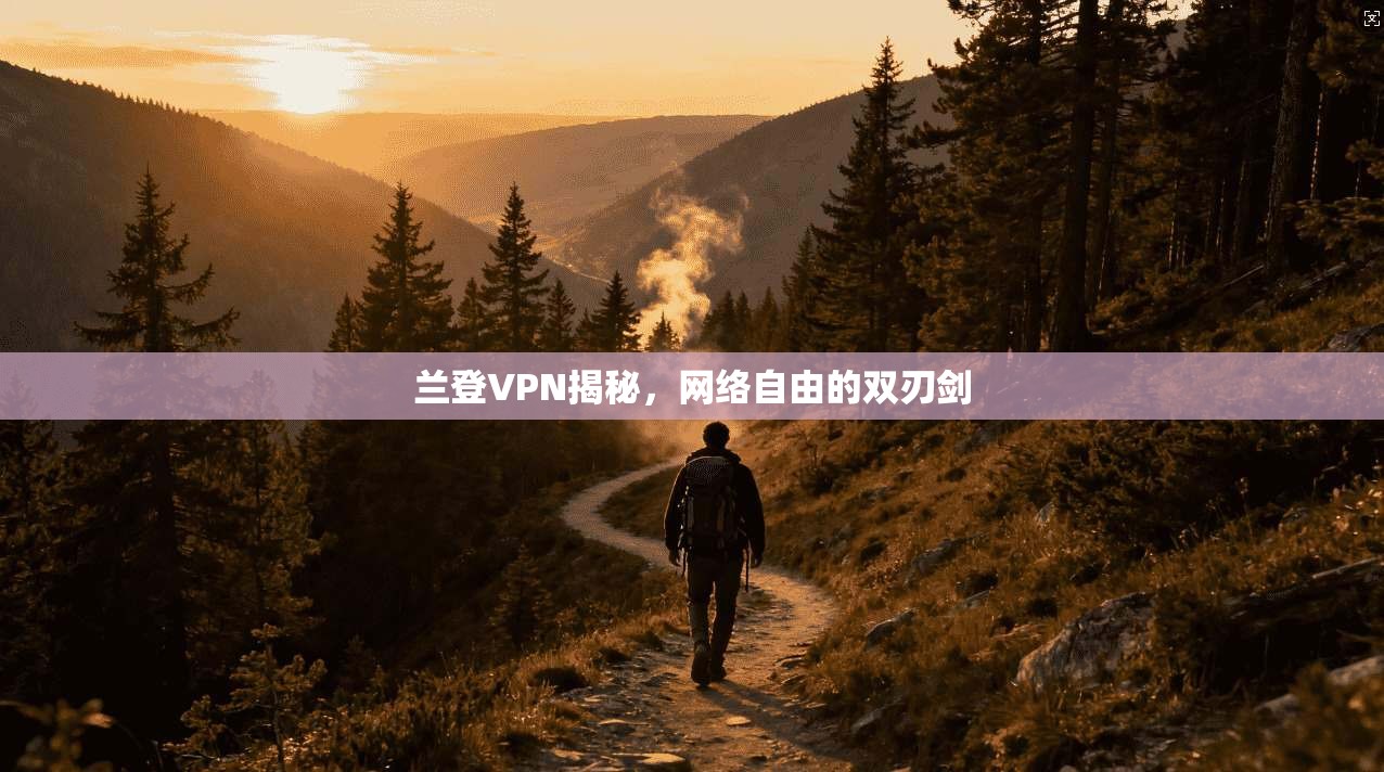 兰登VPN揭秘，网络自由的双刃剑