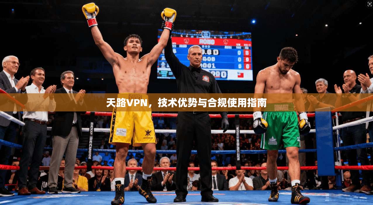天路VPN，技术优势与合规使用指南