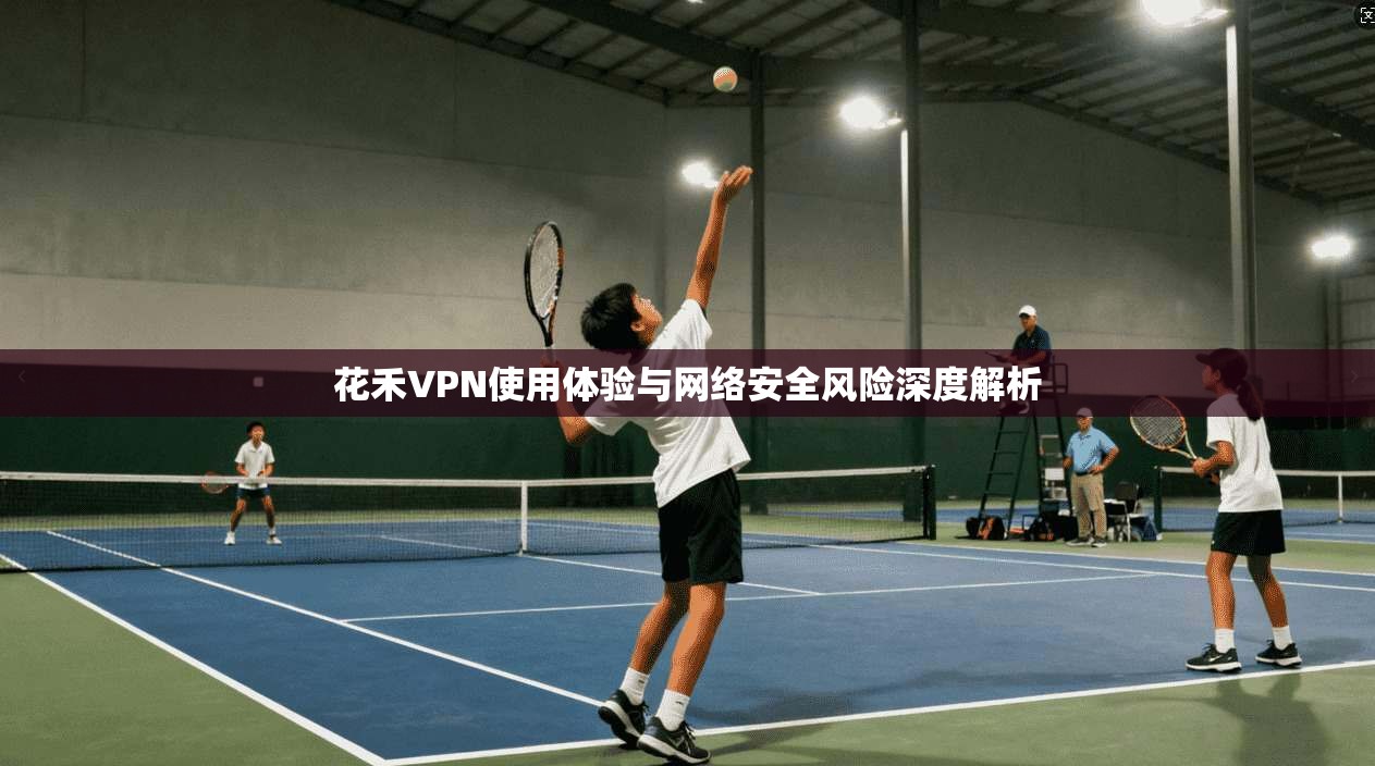 花禾VPN使用体验与网络安全风险深度解析