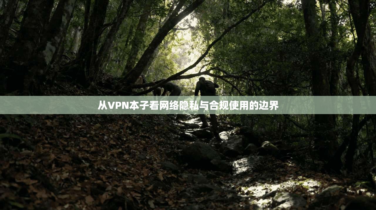 从VPN本子看网络隐私与合规使用的边界