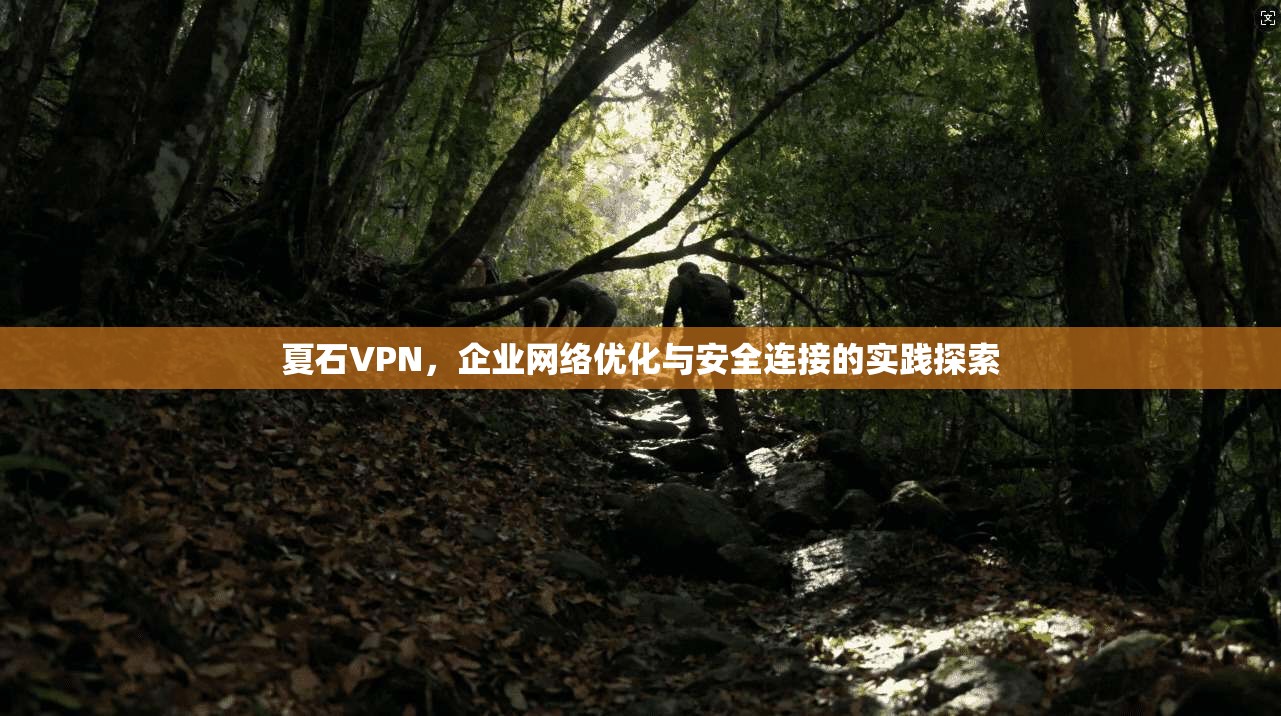 夏石VPN，企业网络优化与安全连接的实践探索
