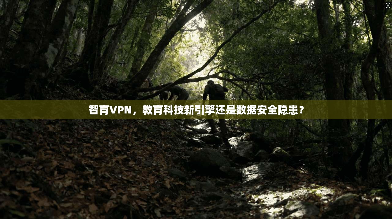 智育VPN，教育科技新引擎还是数据安全隐患？