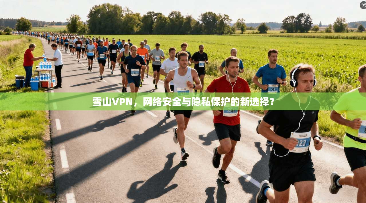 雪山VPN，网络安全与隐私保护的新选择？