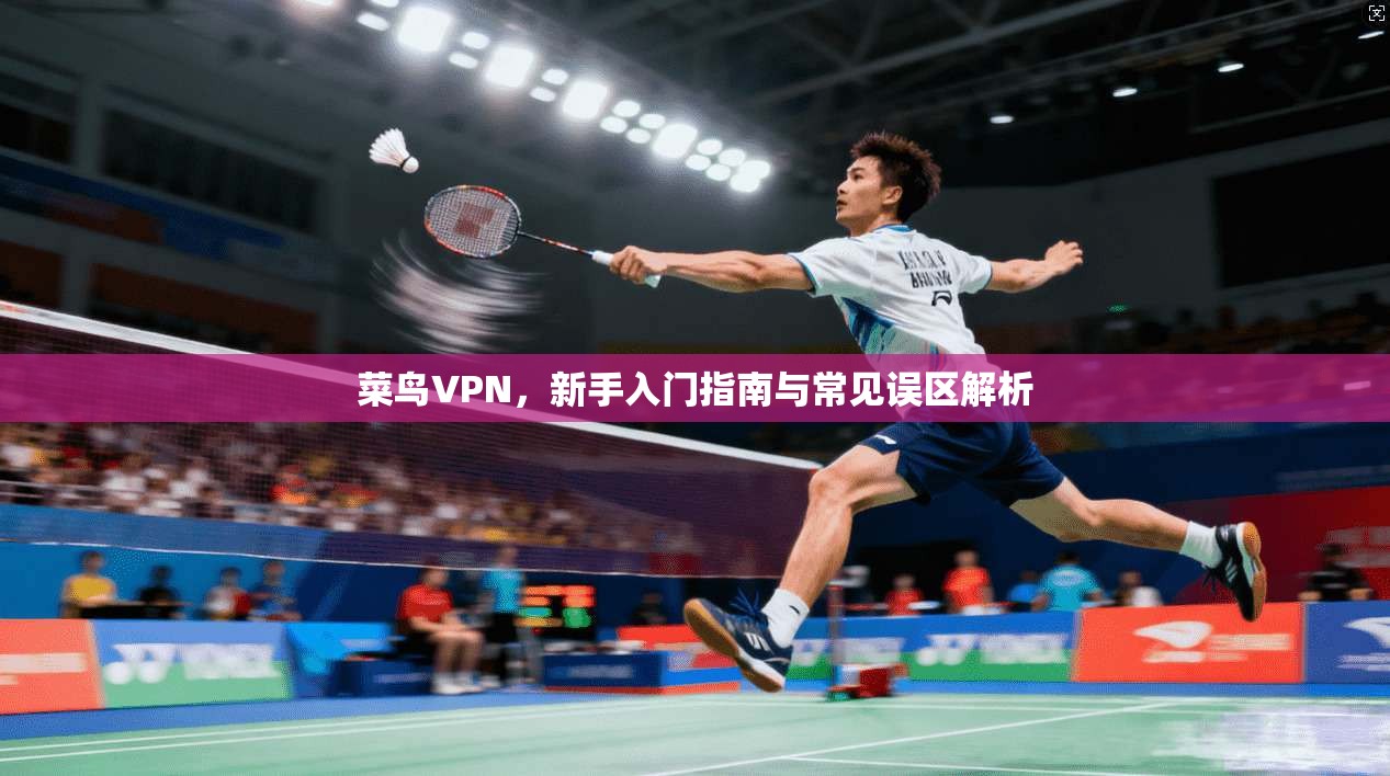 菜鸟VPN，新手入门指南与常见误区解析