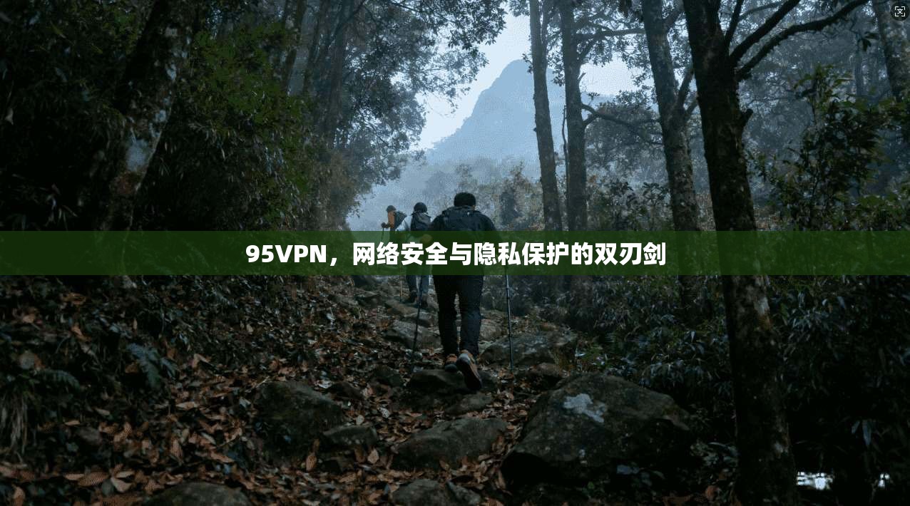 95VPN，网络安全与隐私保护的双刃剑