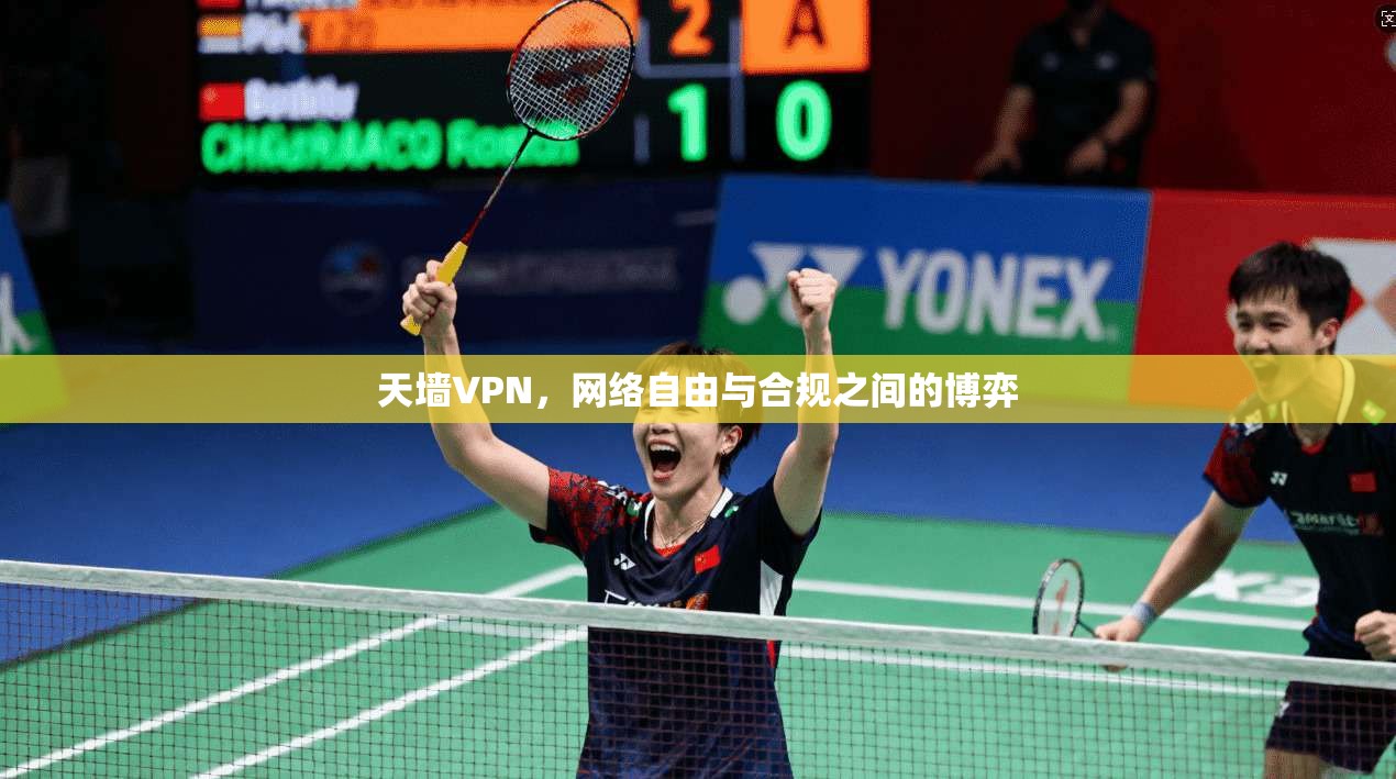 天墙VPN，网络自由与合规之间的博弈