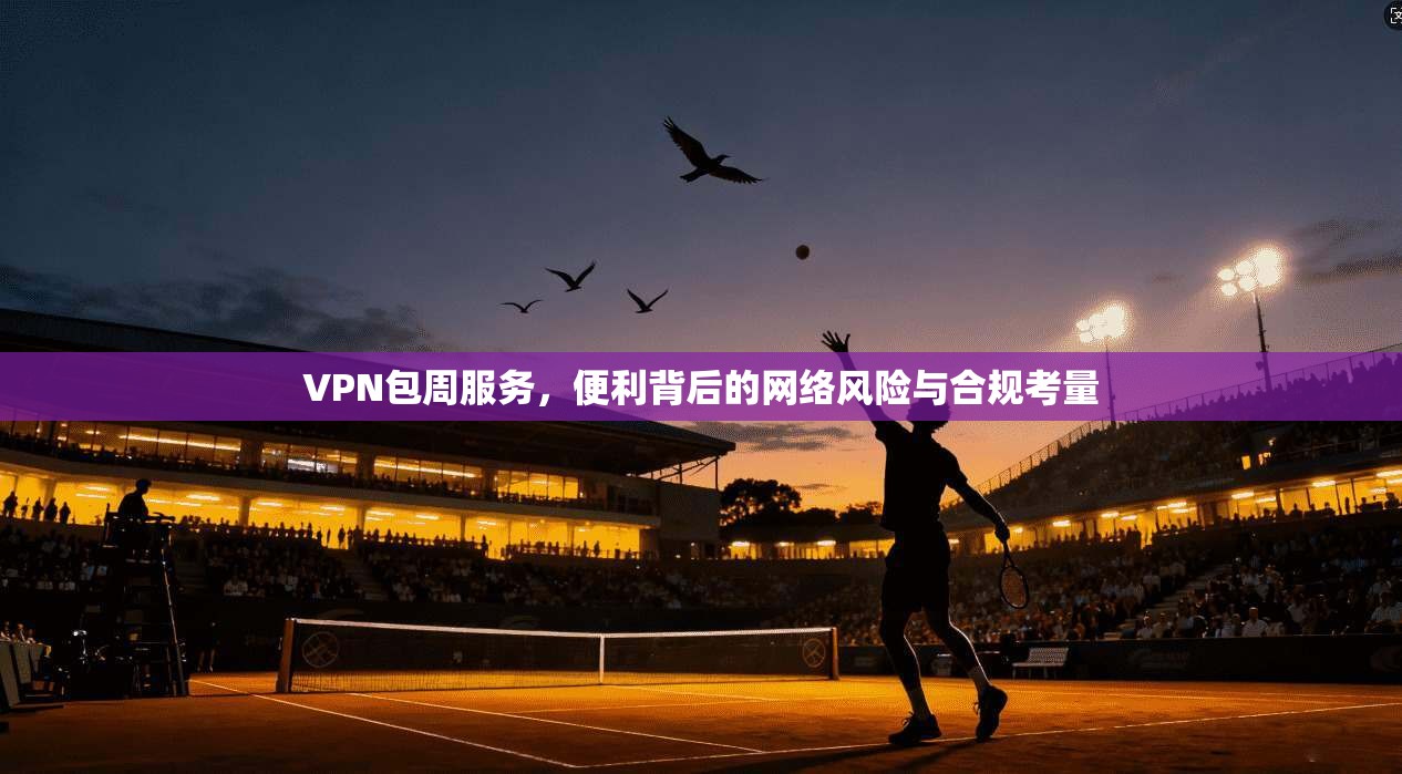 VPN包周服务，便利背后的网络风险与合规考量