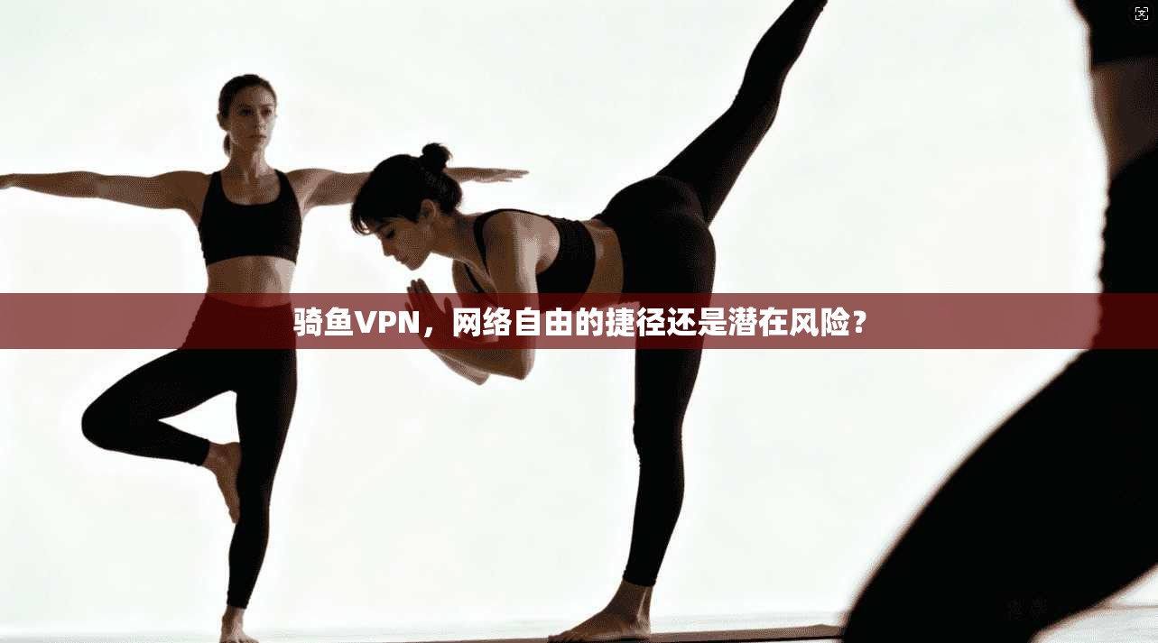 骑鱼VPN，网络自由的捷径还是潜在风险？