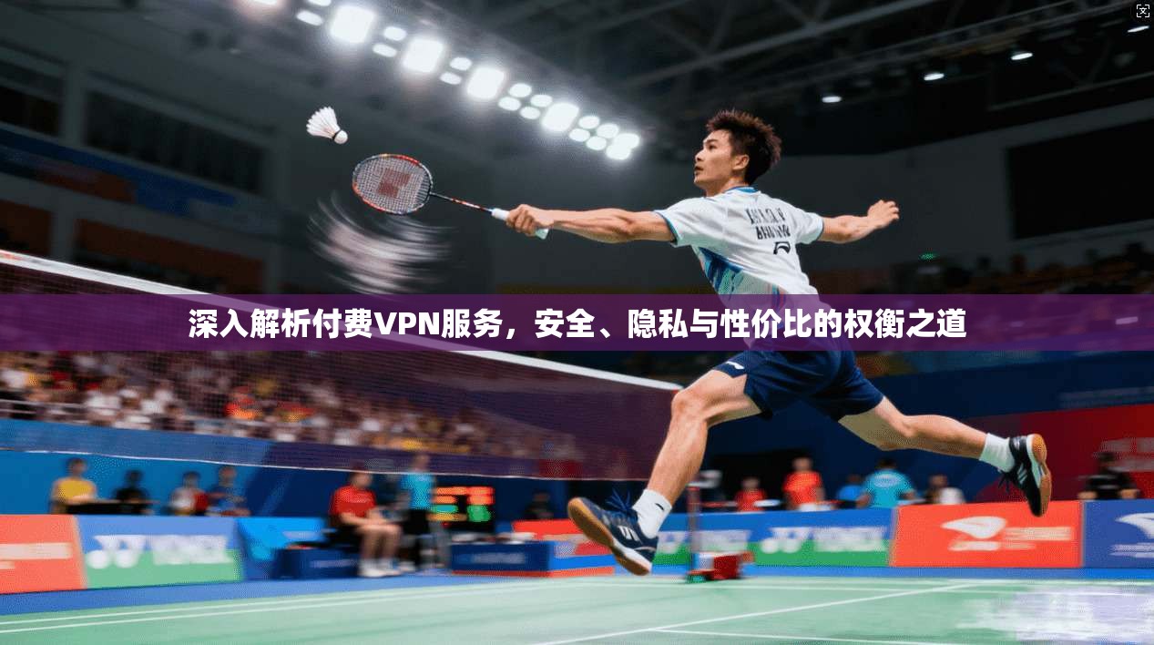深入解析付费VPN服务，安全、隐私与性价比的权衡之道