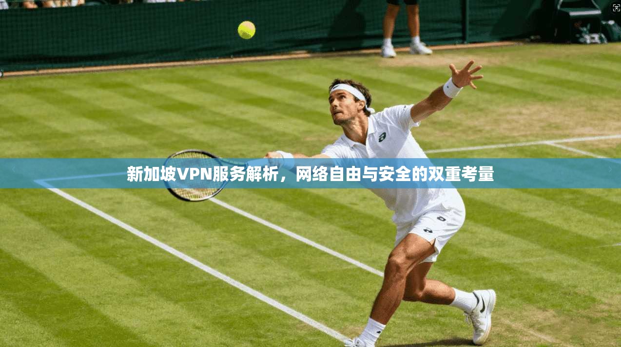 新加坡VPN服务解析，网络自由与安全的双重考量