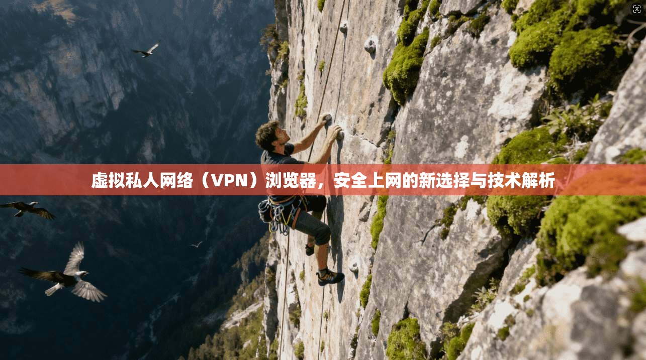 虚拟私人网络(VPN)浏览器,安全上网的新选择与技术解析 虚拟私人网络(VPN)浏览器,安全上网的新选择与技术解析
