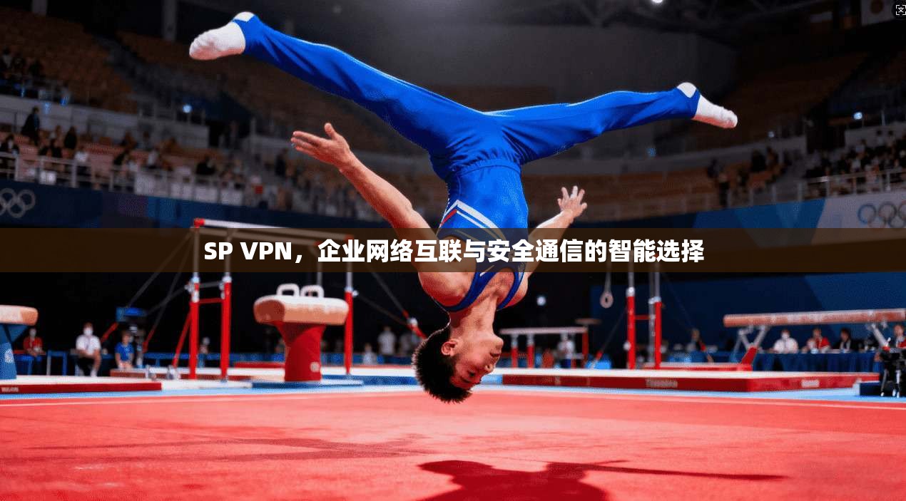 SP VPN，企业网络互联与安全通信的智能选择