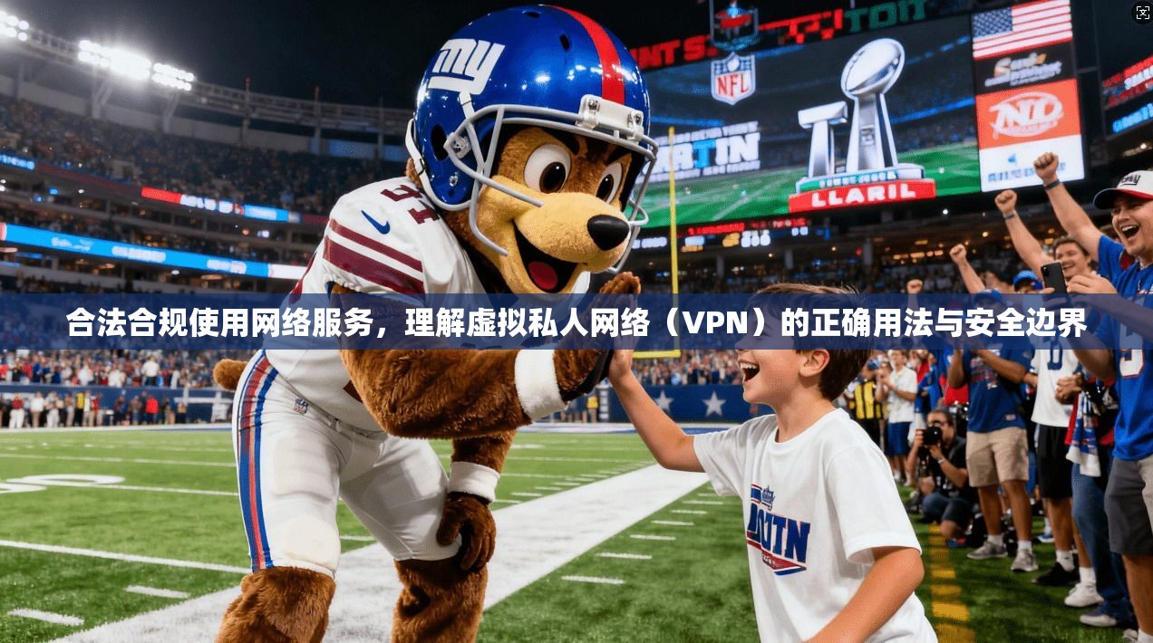 合法合规使用网络服务，理解虚拟私人网络（VPN）的正确用法与安全边界