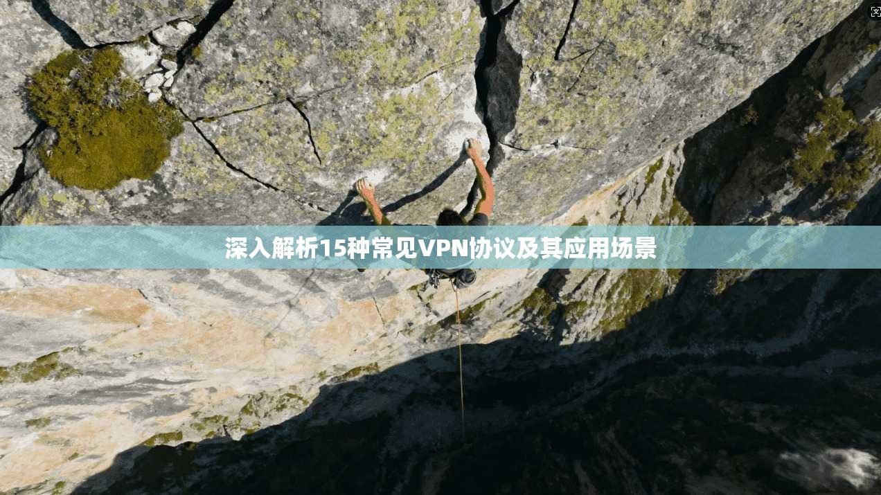 深入解析15种常见VPN协议及其应用场景