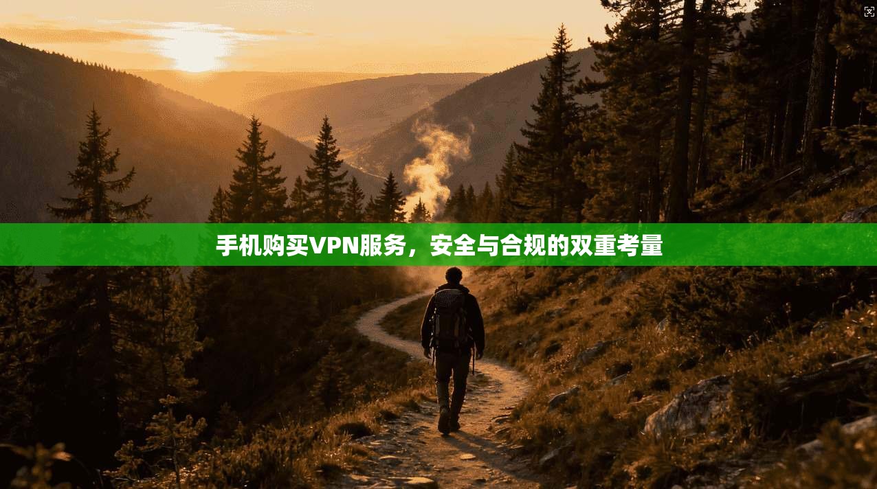 手机购买VPN服务，安全与合规的双重考量