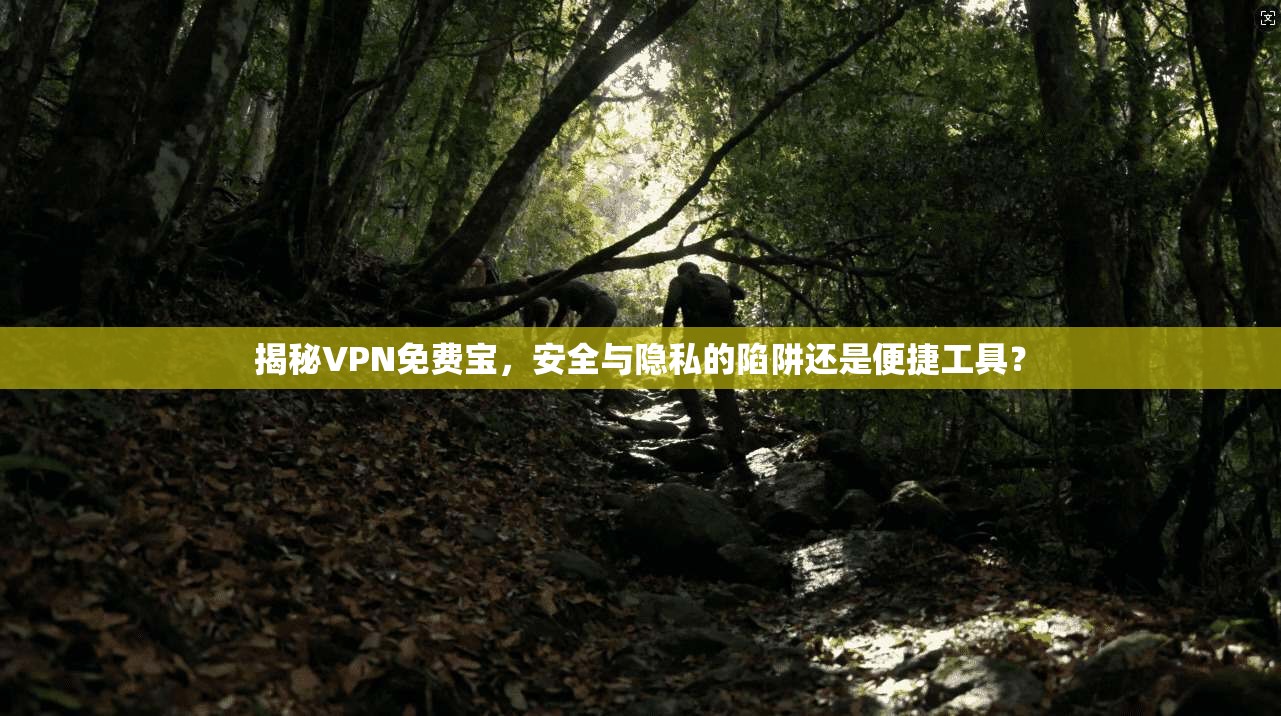 揭秘VPN免费宝，安全与隐私的陷阱还是便捷工具？