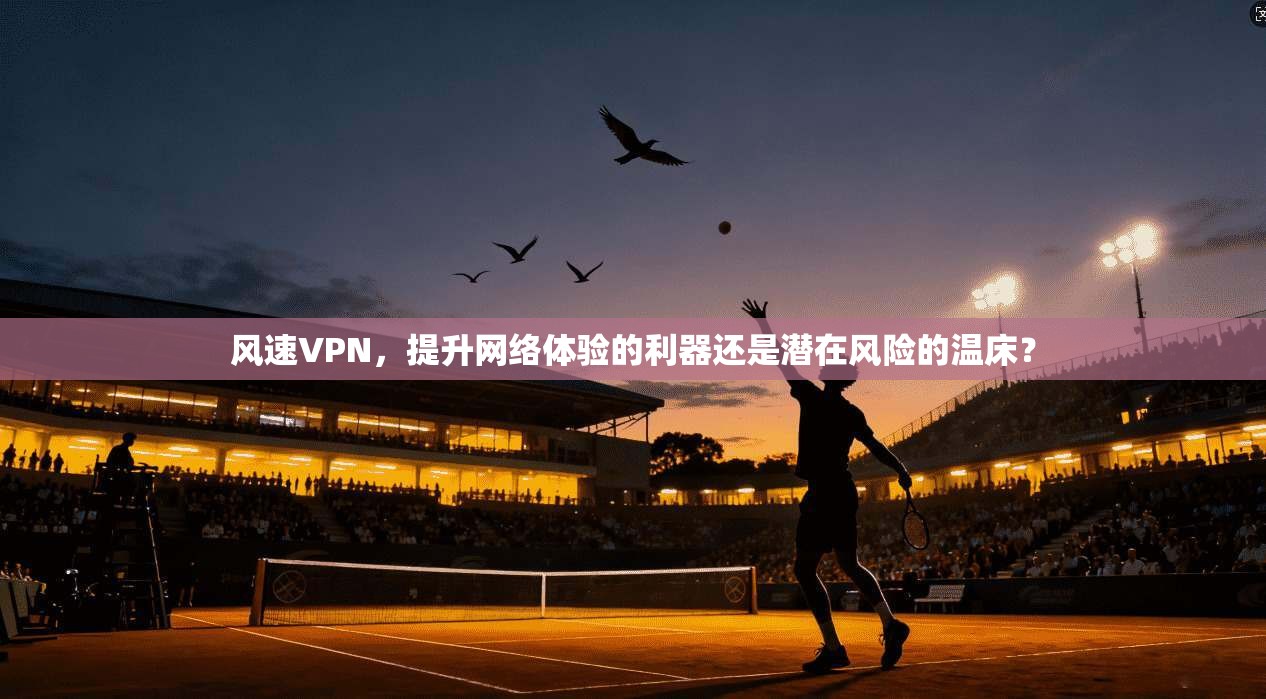 风速VPN，提升网络体验的利器还是潜在风险的温床？