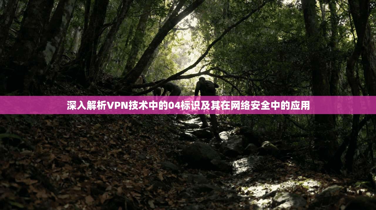 深入解析VPN技术中的04标识及其在网络安全中的应用