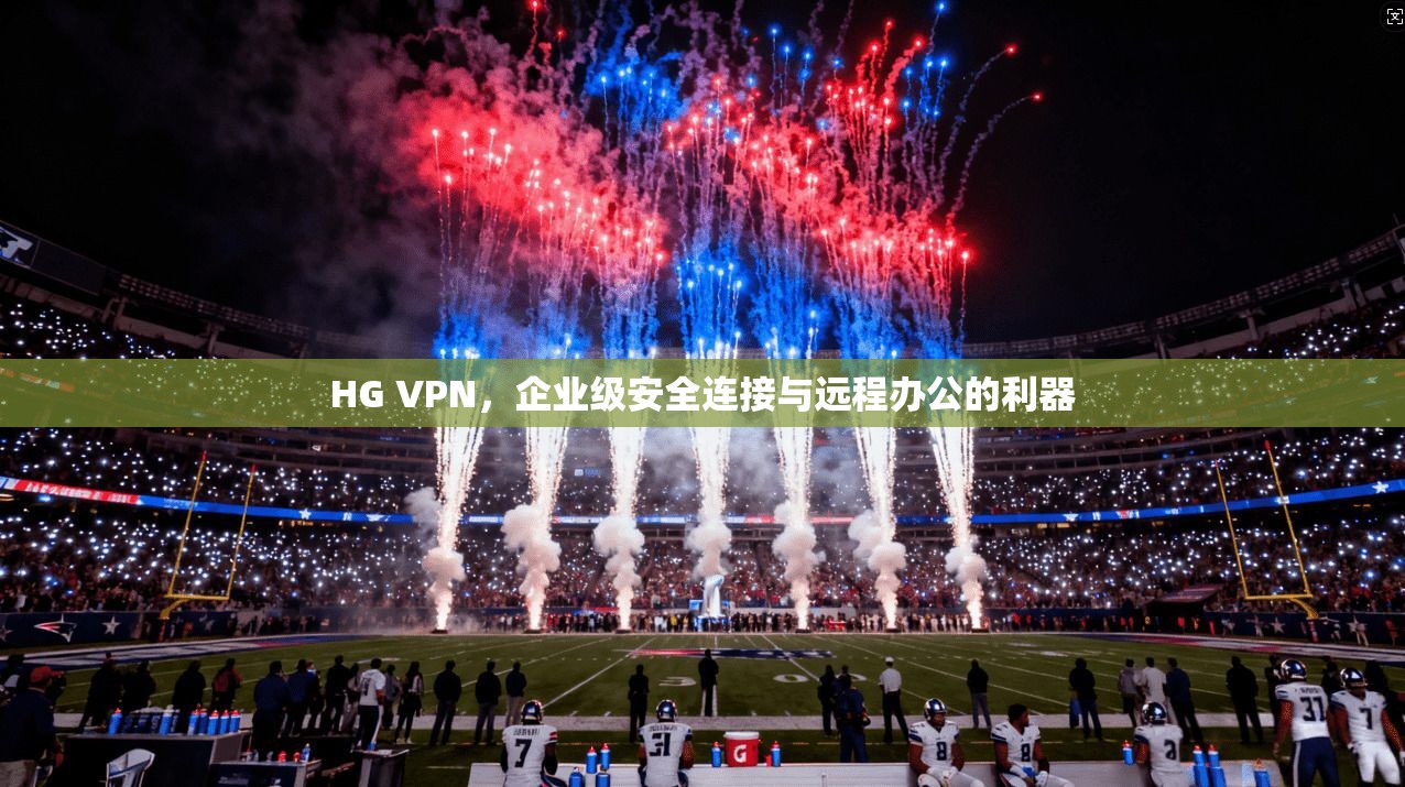 HG VPN，企业级安全连接与远程办公的利器