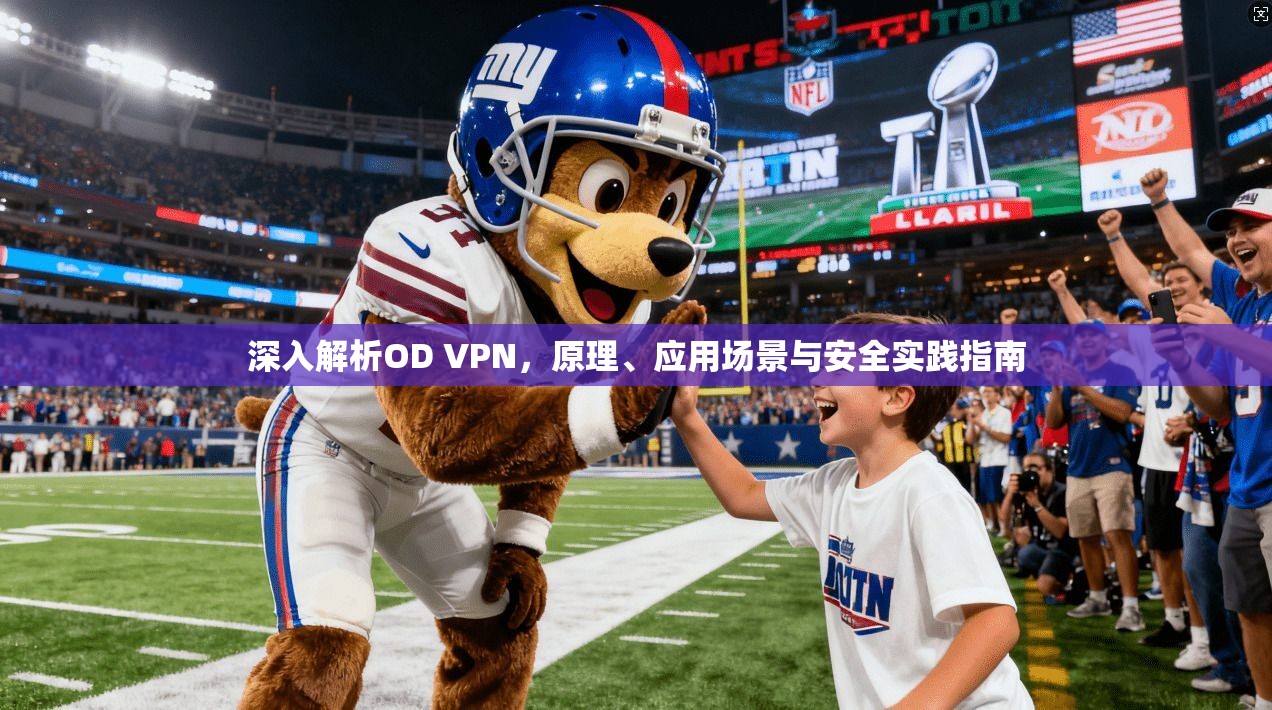 深入解析OD VPN，原理、应用场景与安全实践指南