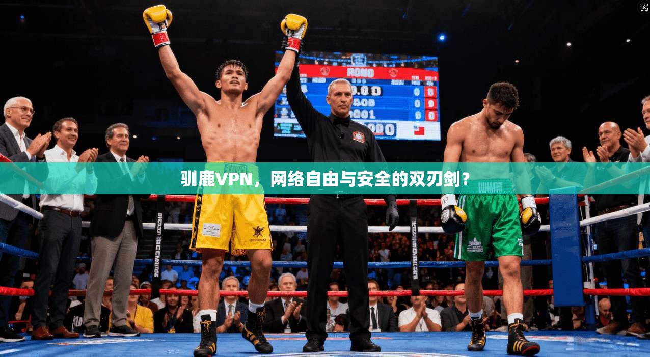 驯鹿VPN，网络自由与安全的双刃剑？