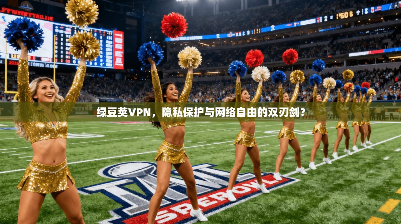 绿豆荚VPN，隐私保护与网络自由的双刃剑？