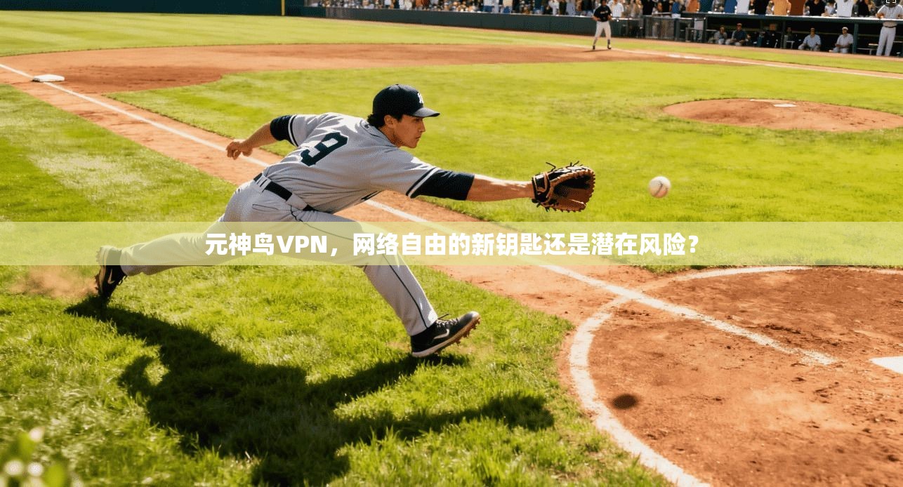 元神鸟VPN,网络自由的新钥匙还是潜在风险? 元神鸟VPN,网络自由的新钥匙还是潜在风险?