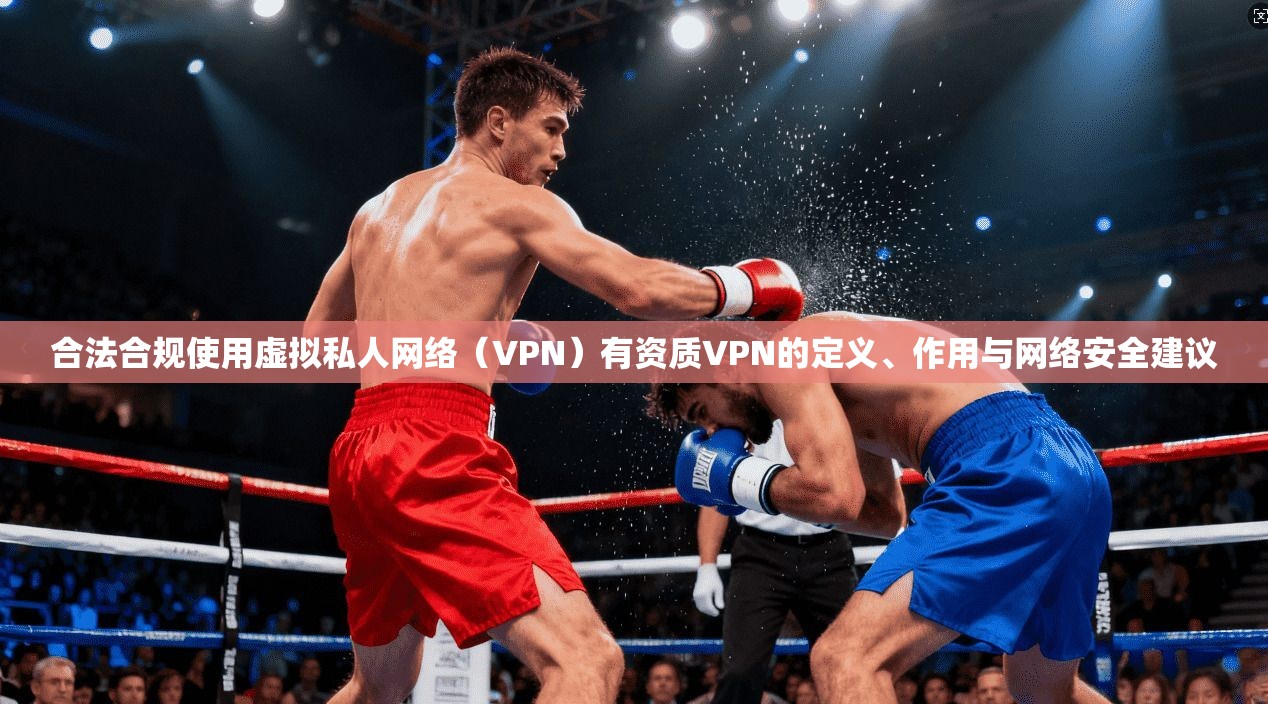 合法合规使用虚拟私人网络（VPN）有资质VPN的定义、作用与网络安全建议