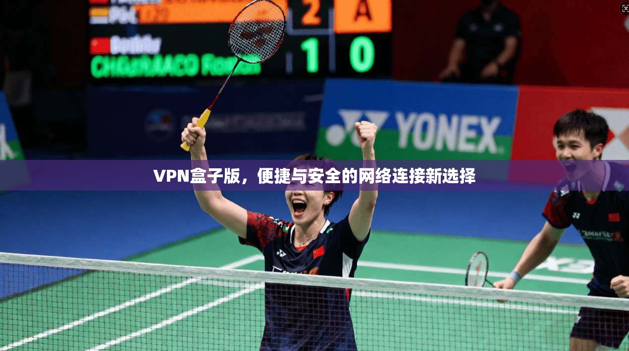 VPN盒子版，便捷与安全的网络连接新选择