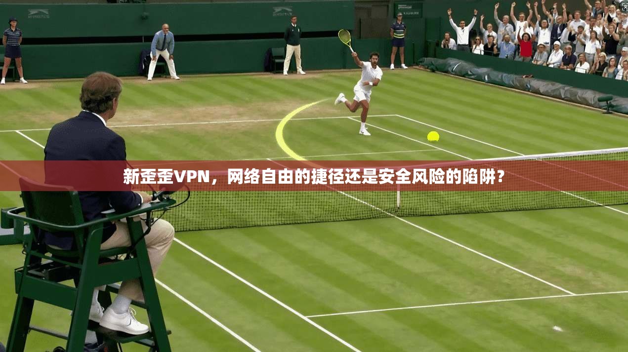 新歪歪VPN，网络自由的捷径还是安全风险的陷阱？