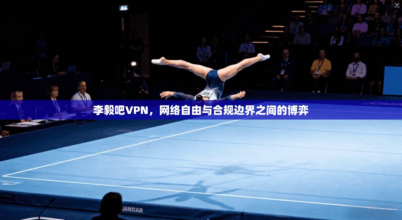 李毅吧VPN，网络自由与合规边界之间的博弈