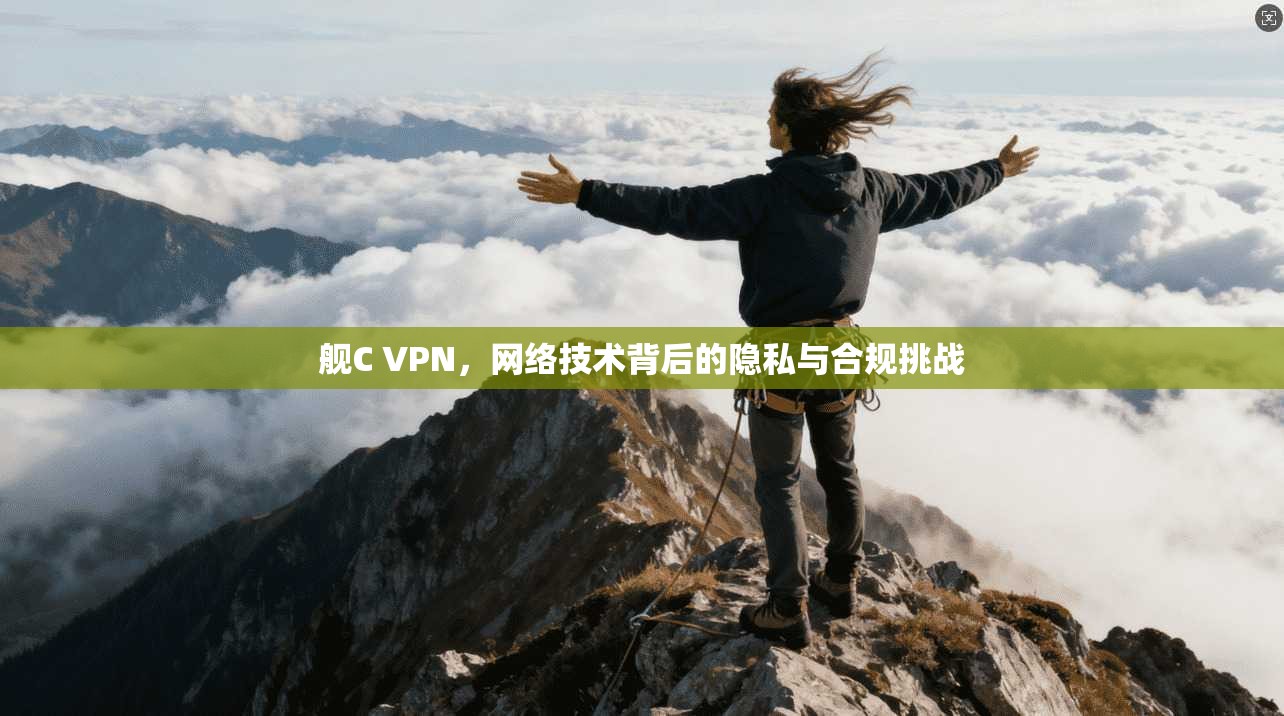 舰C VPN，网络技术背后的隐私与合规挑战