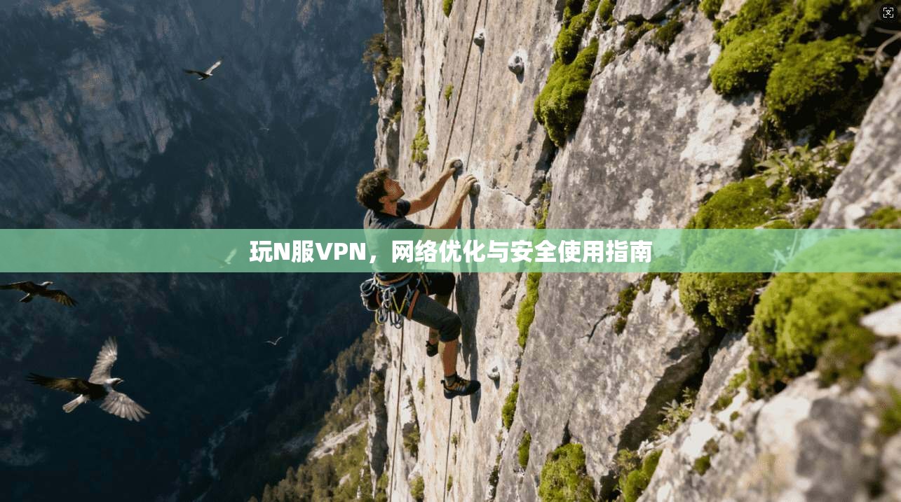 玩N服VPN，网络优化与安全使用指南