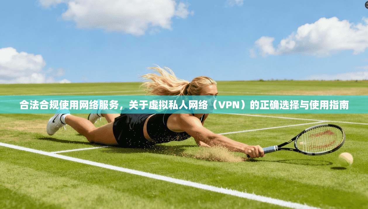 合法合规使用网络服务，关于虚拟私人网络（VPN）的正确选择与使用指南