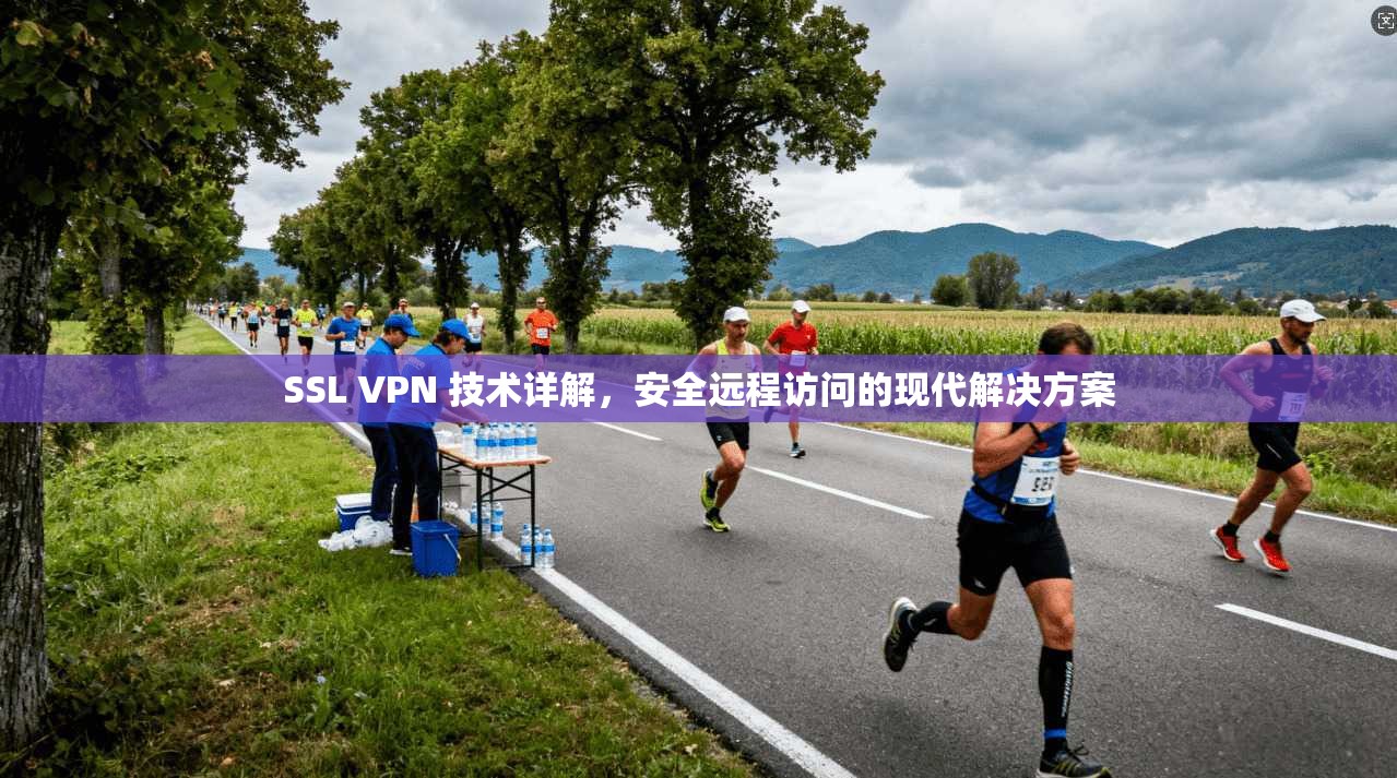 SSL VPN 技术详解，安全远程访问的现代解决方案