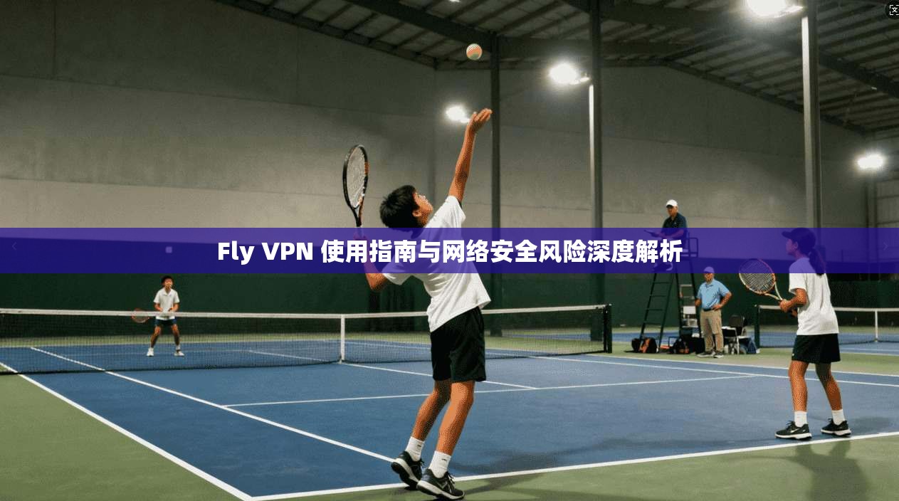Fly VPN 使用指南与网络安全风险深度解析 Fly VPN 使用指南与网络安全风险深度解析