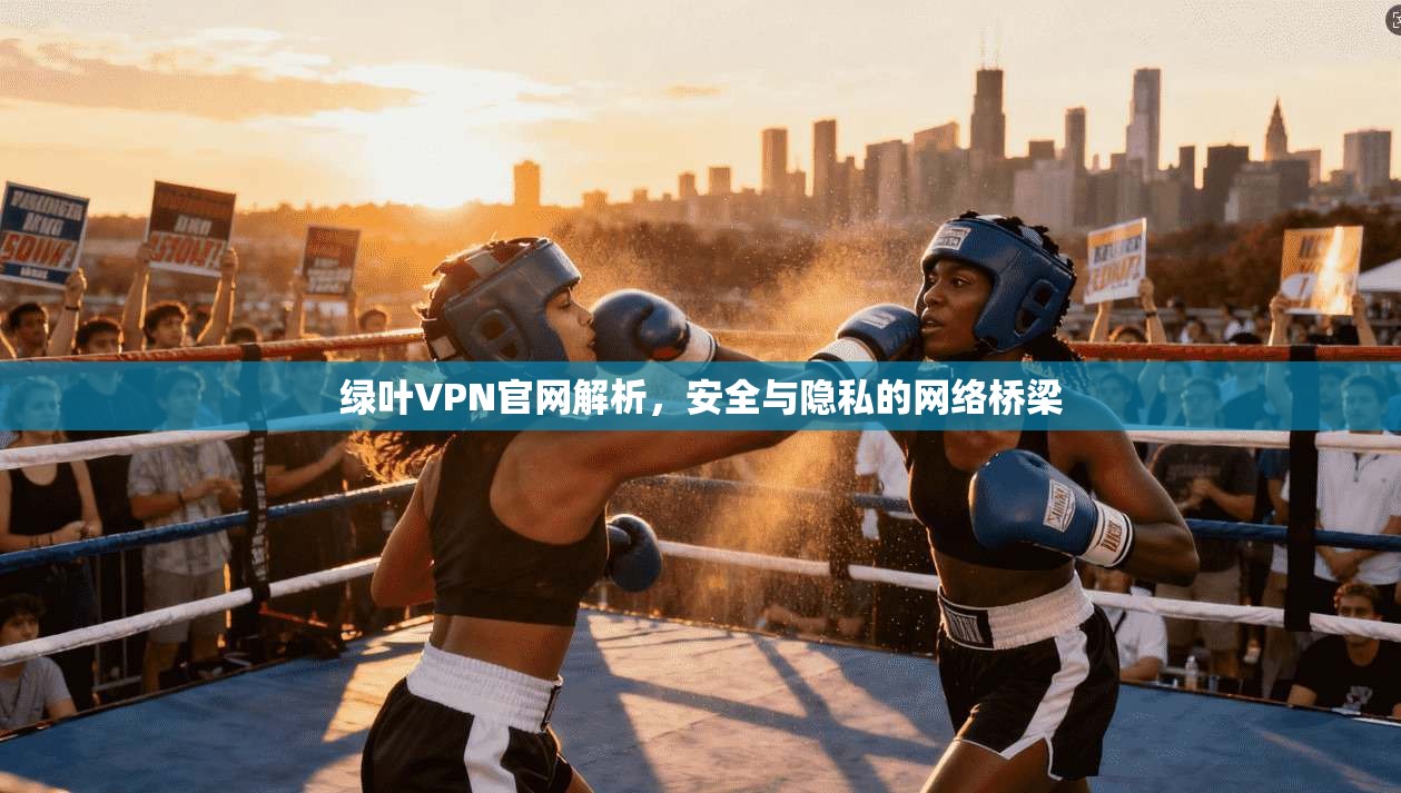 绿叶VPN官网解析，安全与隐私的网络桥梁