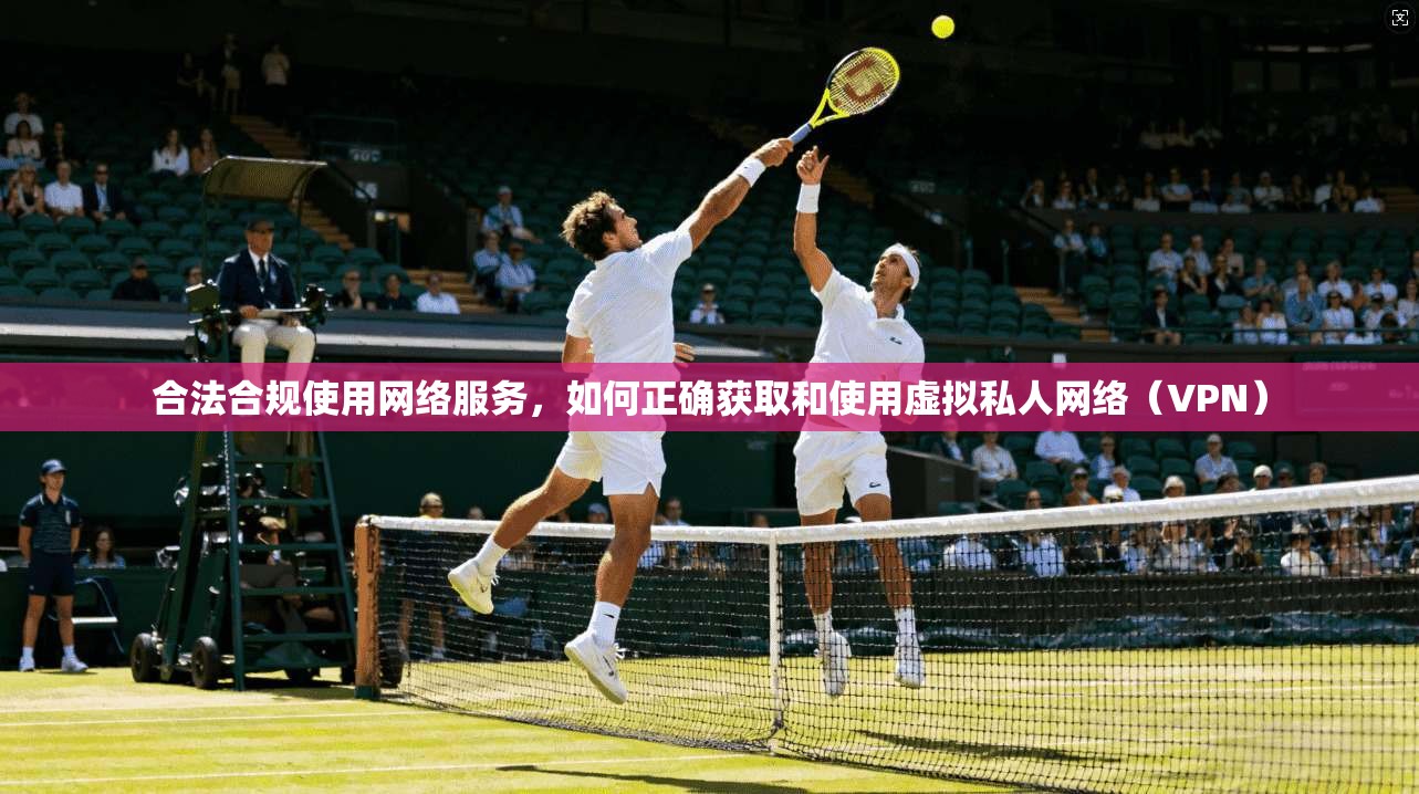 合法合规使用网络服务，如何正确获取和使用虚拟私人网络（VPN）