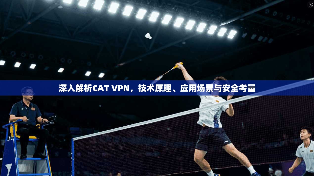 深入解析CAT VPN，技术原理、应用场景与安全考量