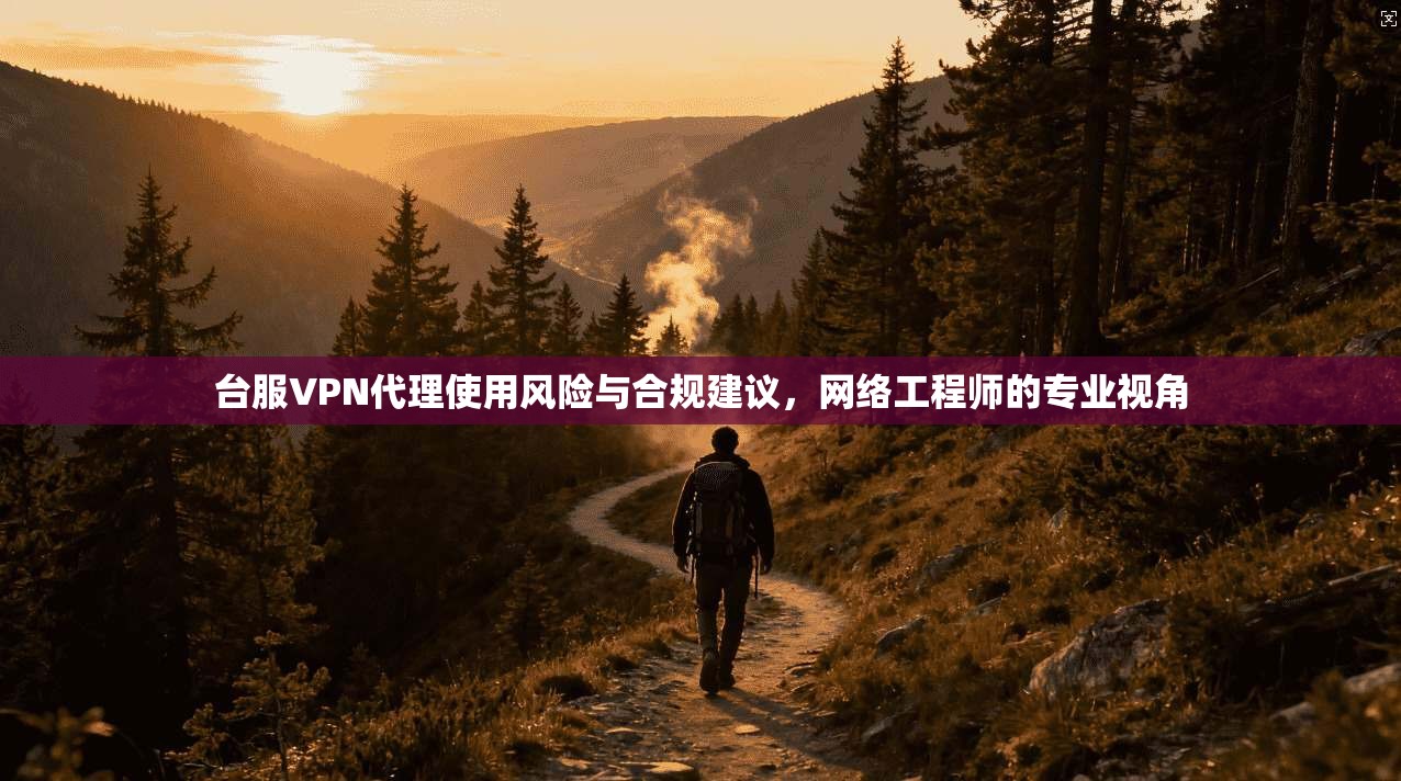 台服VPN代理使用风险与合规建议，网络工程师的专业视角