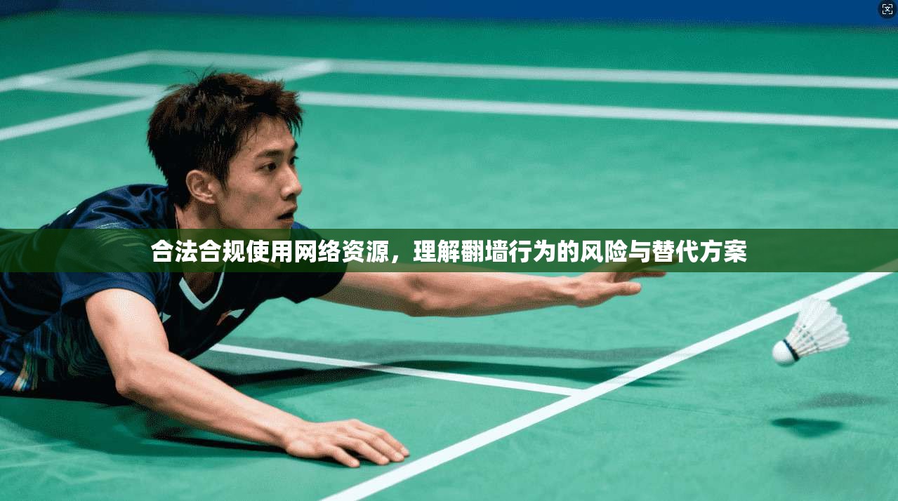 合法合规使用网络资源，理解翻墙行为的风险与替代方案