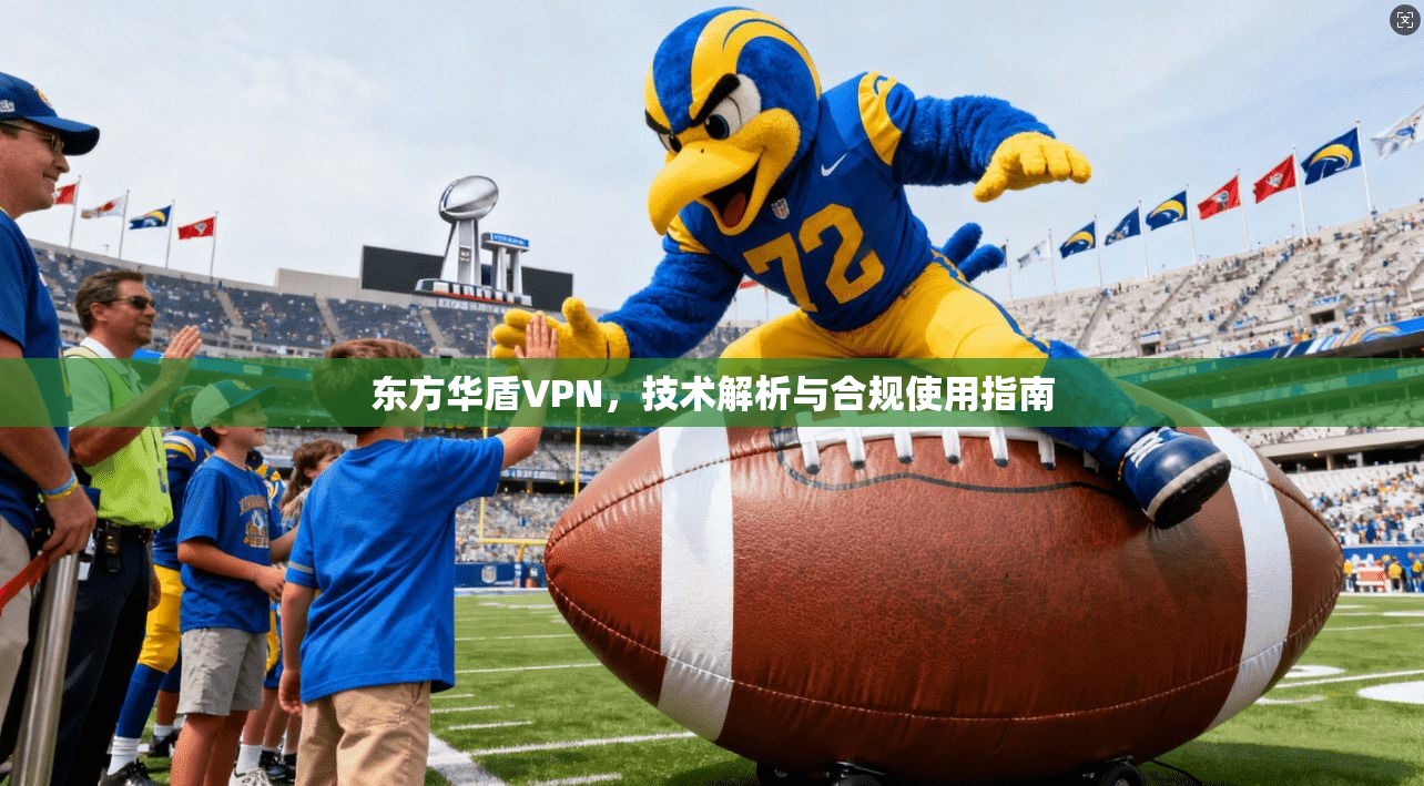 东方华盾VPN，技术解析与合规使用指南