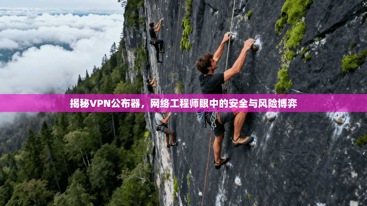 揭秘VPN公布器，网络工程师眼中的安全与风险博弈