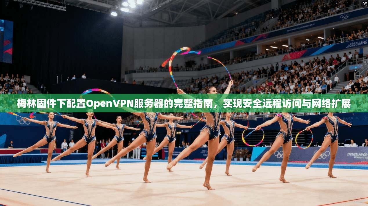 梅林固件下配置OpenVPN服务器的完整指南，实现安全远程访问与网络扩展