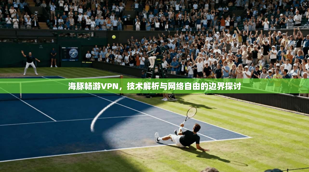 海豚畅游VPN，技术解析与网络自由的边界探讨