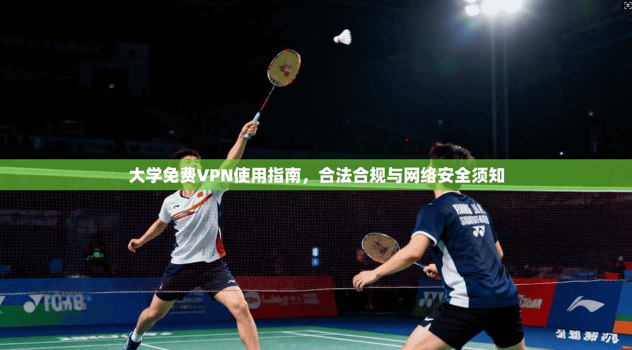 大学免费VPN使用指南，合法合规与网络安全须知
