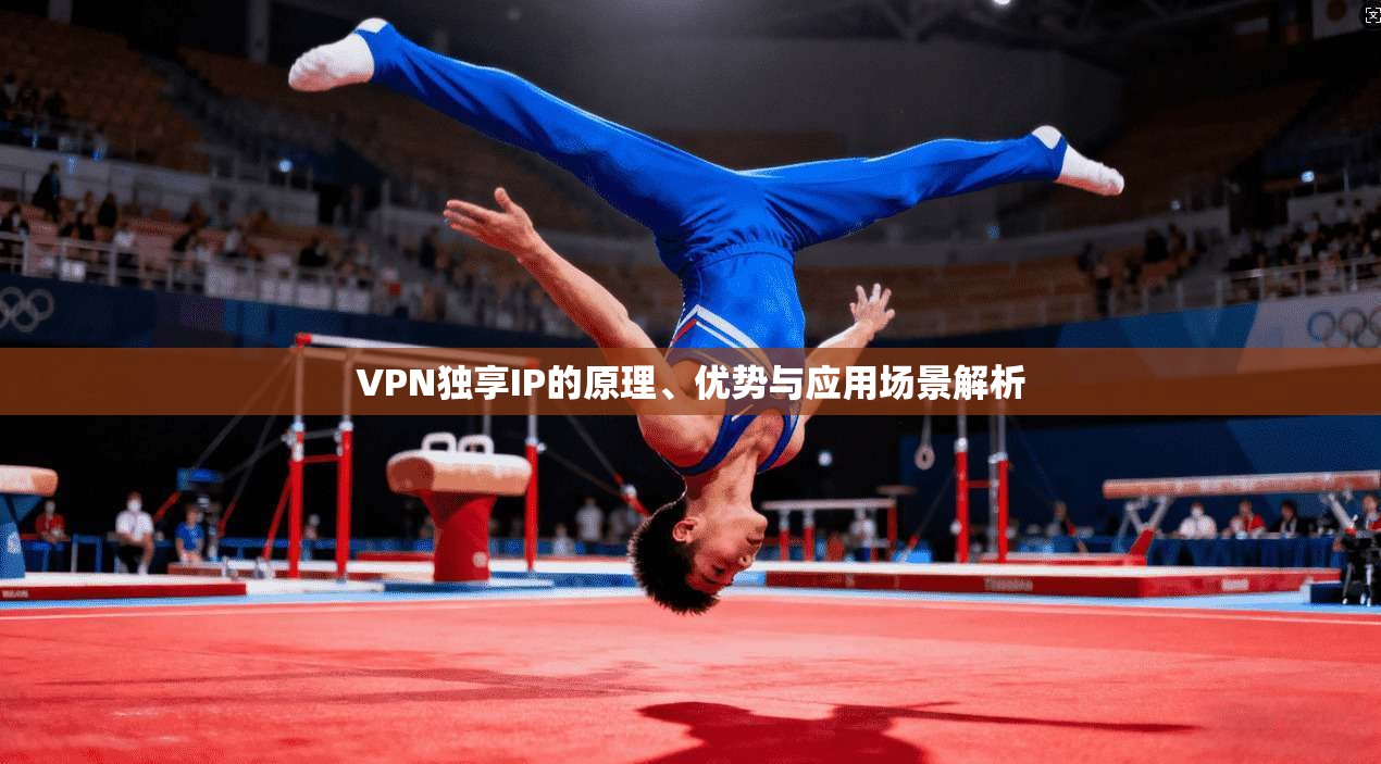 VPN独享IP的原理、优势与应用场景解析 VPN独享IP的原理、优势与应用场景解析